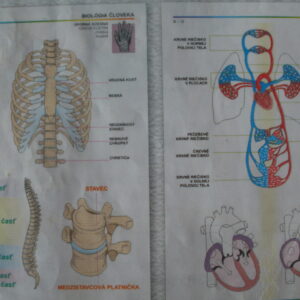 Biológia človeka pre ZŠ, SŠ = fólie pre spätné projektory