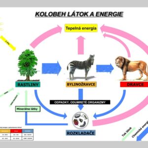 Kolobeh látok a energie, nástenná tabuľa