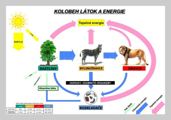 Kolobeh látok a energie, nástenná tabuľa