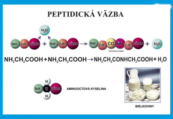 Peptidická väzba